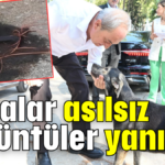 İddialar asılsız, görüntüler yanıltıcı