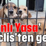 'Kanlı Yasa' Meclis'ten geçti