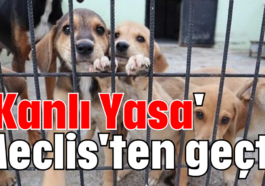 'Kanlı Yasa' Meclis'ten geçti