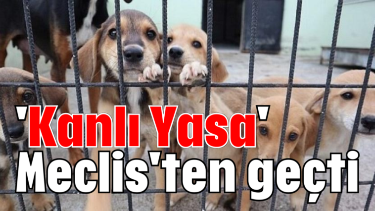 'Kanlı Yasa' Meclis'ten geçti