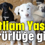 Katliam Yasası yürürlüğe girdi