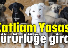 Katliam Yasası yürürlüğe girdi