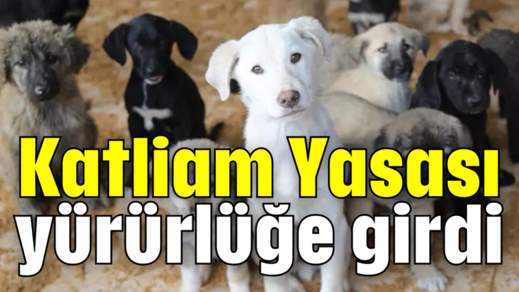 Katliam Yasası yürürlüğe girdi