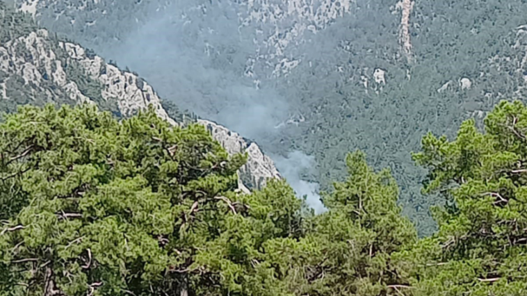 Kemer Gedelme Yaylası'ndaki yangına müdahale ediliyor