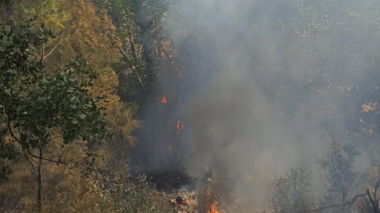 Kumluca'daki orman yangını büyümeden söndürüldü