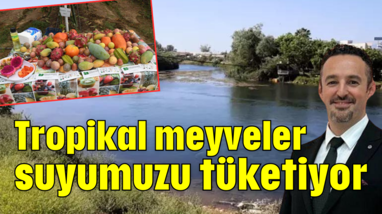 Tropikal meyveler suyumuzu tüketiyor