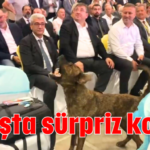 Açılışta sürpriz konuk