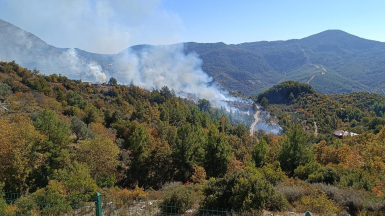 Alanya'da tarım arazisinde çıkan yangın güçlükle söndürüldü