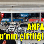 ANFAŞ Ali Baba'nın çiftliği gibi