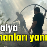 Antalya ormanları yanıyor