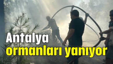 Antalya ormanları yanıyor