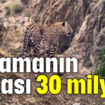 Avlamanın cezası 30 milyon