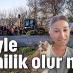 Böyle canilik olur mu?