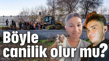 Böyle canilik olur mu?