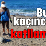 Bu kaçıncı katliam?