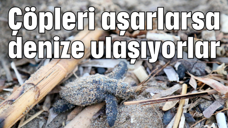 Çöpleri aşarlarsa denize ulaşıyorlar