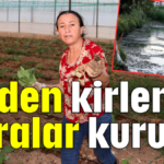 Düden kirlendi seralar kurudu