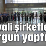 Hayali şirketlerle vurgun yaptılar