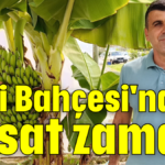 Hobi Bahçesi'nde hasat zamanı