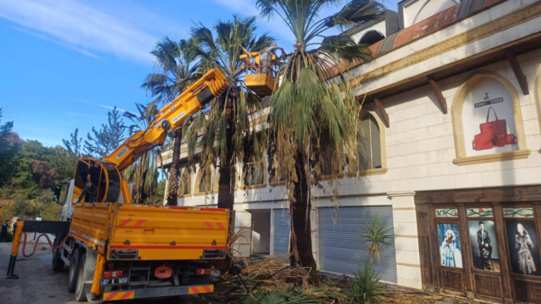 Kemer Belediyesi ekipleri Göynük'te yeşil alanların bakım ve temizliğini yaptı