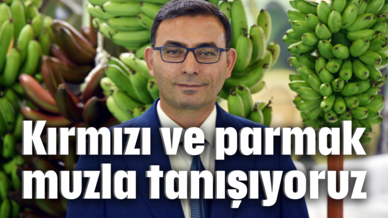 Kırmızı ve parmak muzla tanışıyoruz