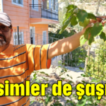 Mevsimler de şaşırdı!