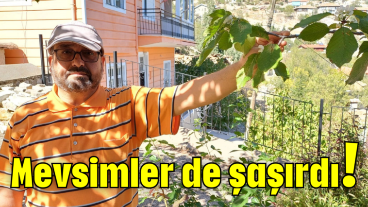 Mevsimler de şaşırdı!