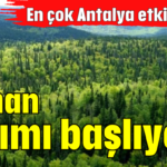 Orman kıyımı başlıyor!