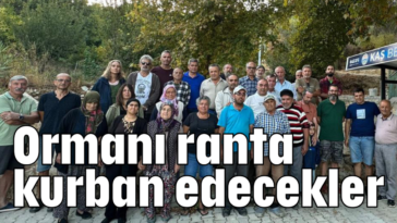 Ormanı ranta kurban edecekler