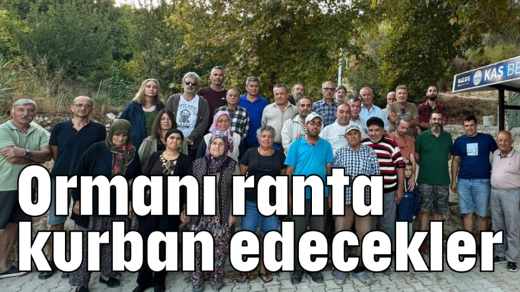 Ormanı ranta kurban edecekler