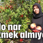 1 kilo nar 1 ekmek almıyor!