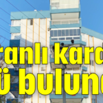 3 İranlı kardeş ölü bulundu