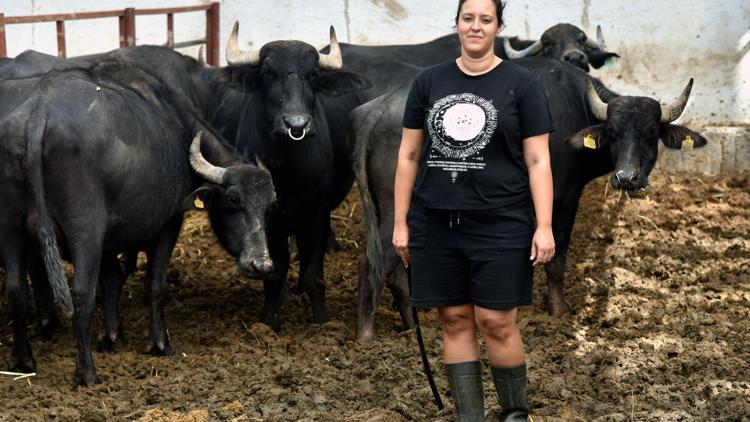 İş bulamayınca kurduğu manda çiftliğinin patronu oldu