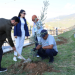 ALKÜ'de boş alanlara zeytin ağacı dikildi