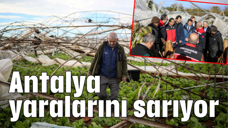 Antalya yaralarını sarıyor