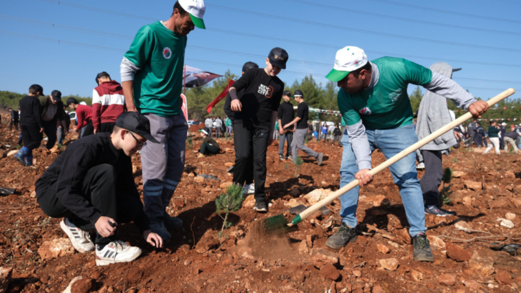 Antalya'da 8 noktada 11 bin fidan toprakla buluşturuldu