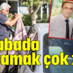 'Arabada yaşamak çok zor'