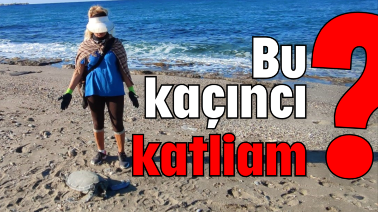 Bu kaçıncı katliam?