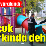 Çocuk parkında dehşet