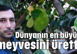 Dünyanın en büyük meyvesini üretti