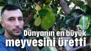 Dünyanın en büyük meyvesini üretti