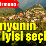 Dünyanın en iyisi seçildi