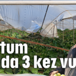 Hortum 1 yılda 3 kez vurdu