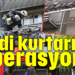 Kedi kurtarma operasyonu