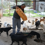 Kemer Belediyesi mama üretim tesisini açıyor