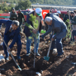 Korkuteli'nde 500 fidan toprakla buluşturuldu