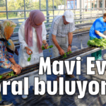 Mavi Ev'de moral buluyorlar