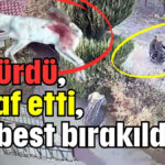 Öldürdü, itiraf etti, serbest bırakıldı