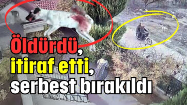 Öldürdü, itiraf etti, serbest bırakıldı