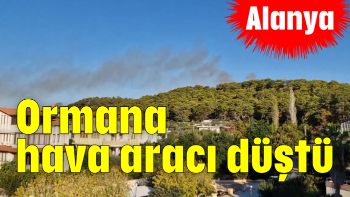 Ormana hava aracı düştü